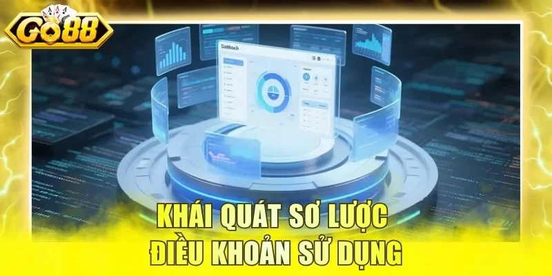 Khái quát sơ lược điều khoản sử dụng
