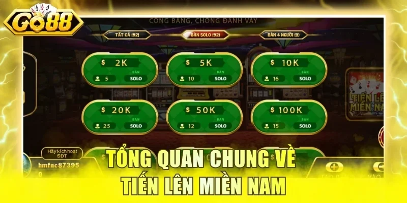 Tổng quan chung về Tiến Lên Miền Nam